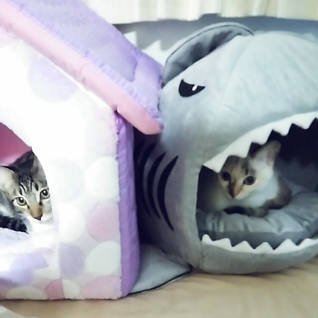 mzk5678910さんの実例写真