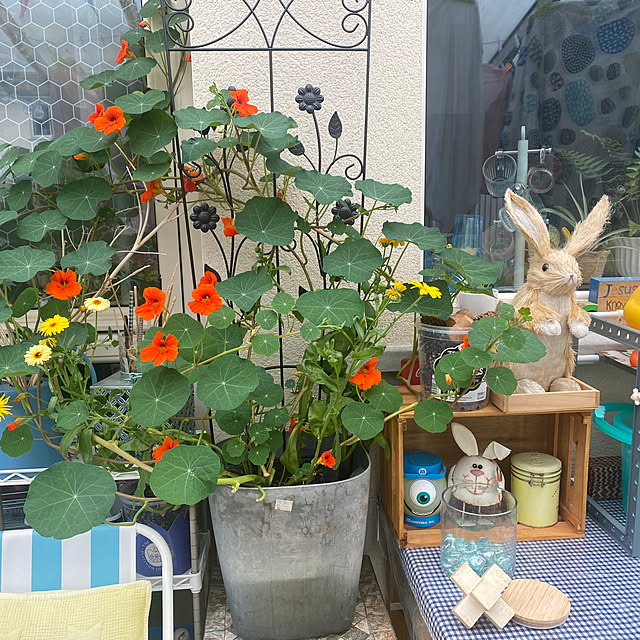 Annieさんの部屋