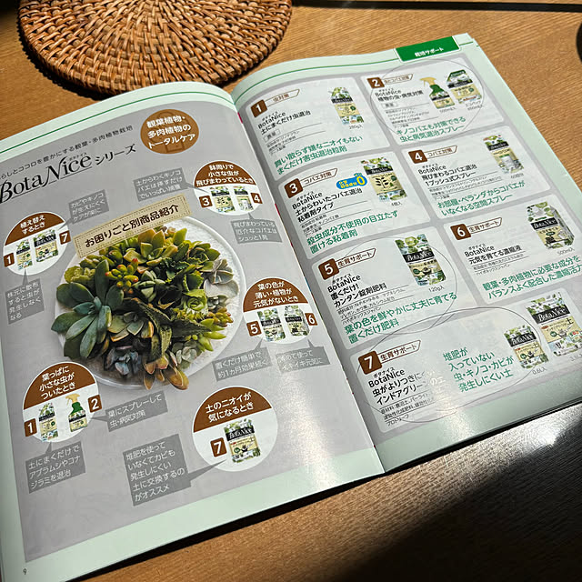 kaerunoameriさんの部屋