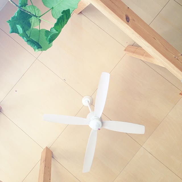 tkhroomさんの実例写真