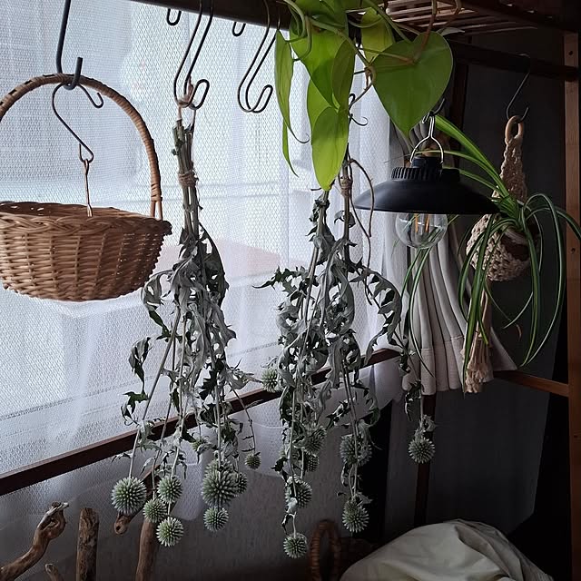midoriさんの部屋