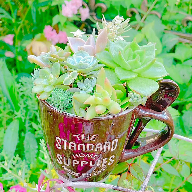 Hanakaさんの実例写真