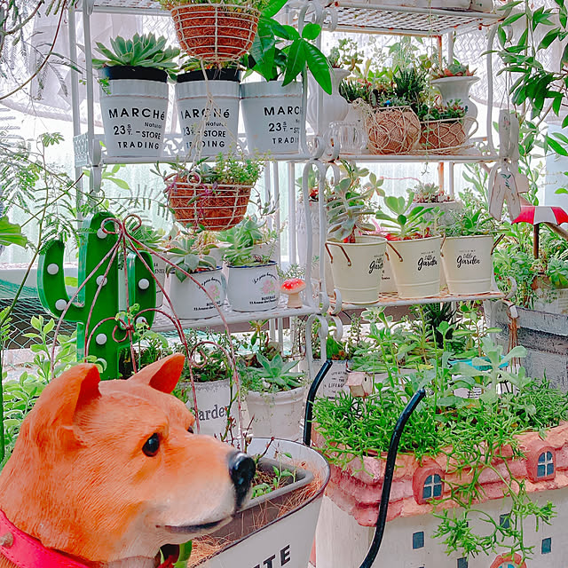 Hanakaさんの部屋