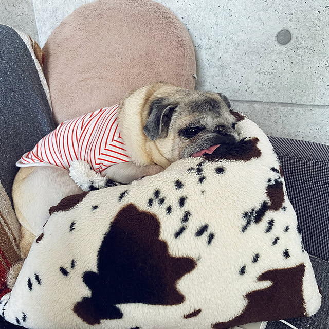 kellyさんの実例写真