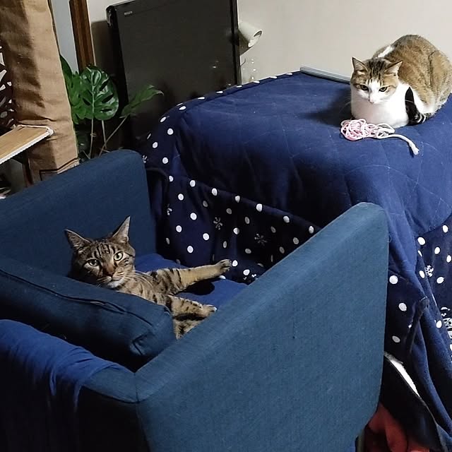 mori_6_12さんの実例写真