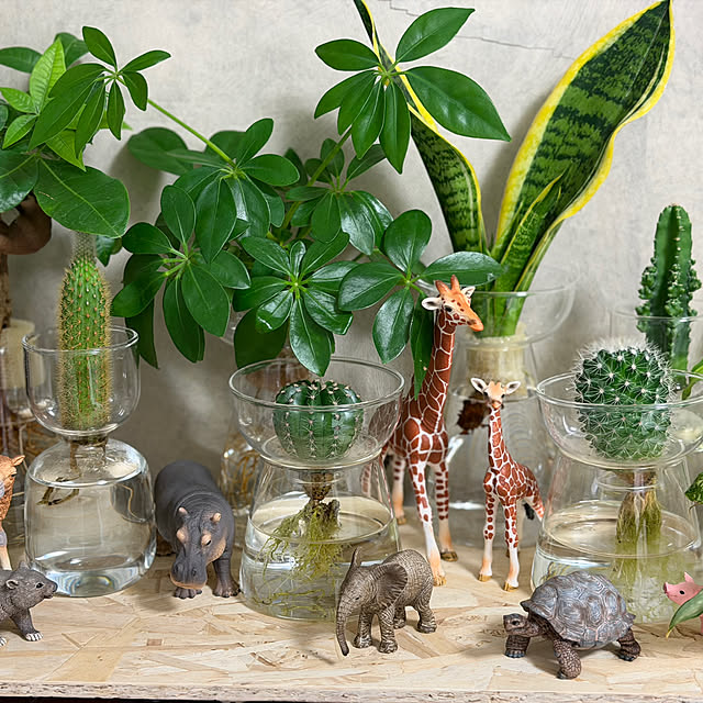 Yoshimiさんの実例写真