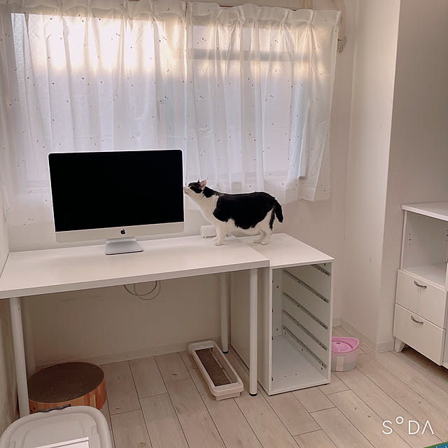 a.kaoriさんの実例写真
