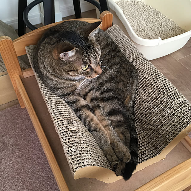 mikomaruさんの実例写真