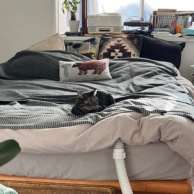 a.f.さんの実例写真