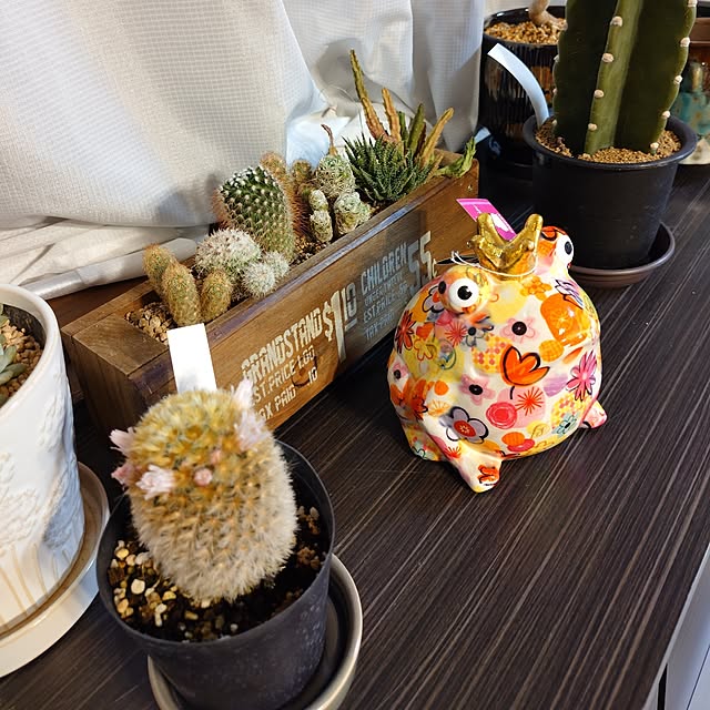 coconathuさんの実例写真