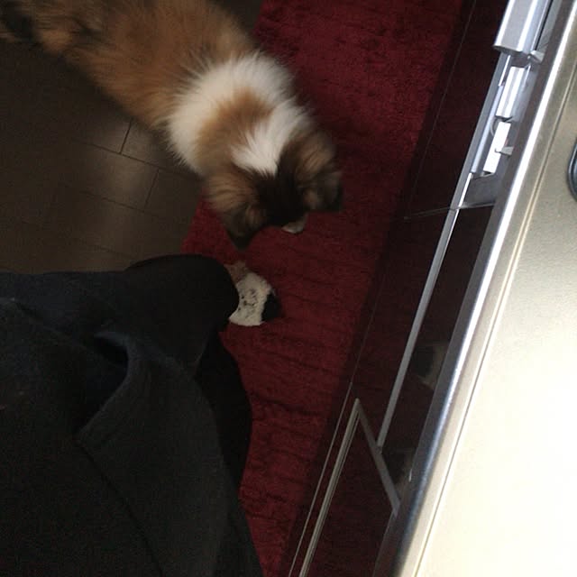 Na7さんの実例写真