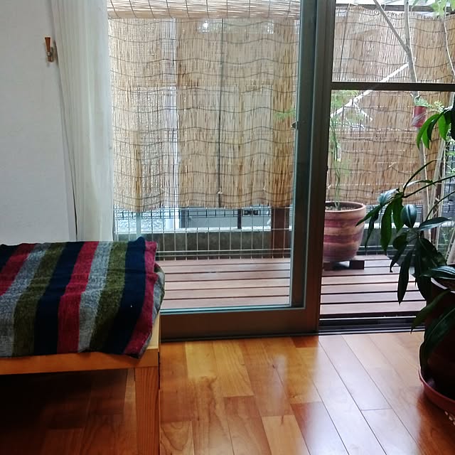 hoshikoさんの実例写真