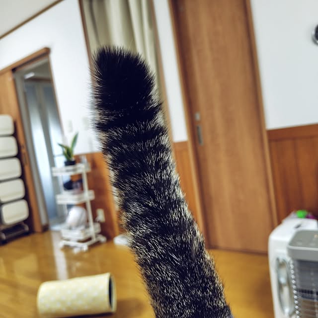 nachiさんの部屋