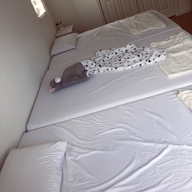 linaさんの実例写真