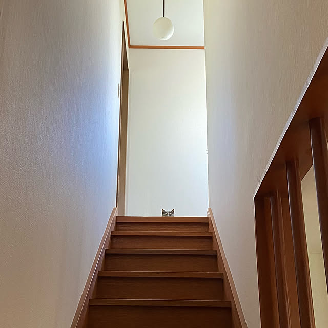 piroさんの実例写真
