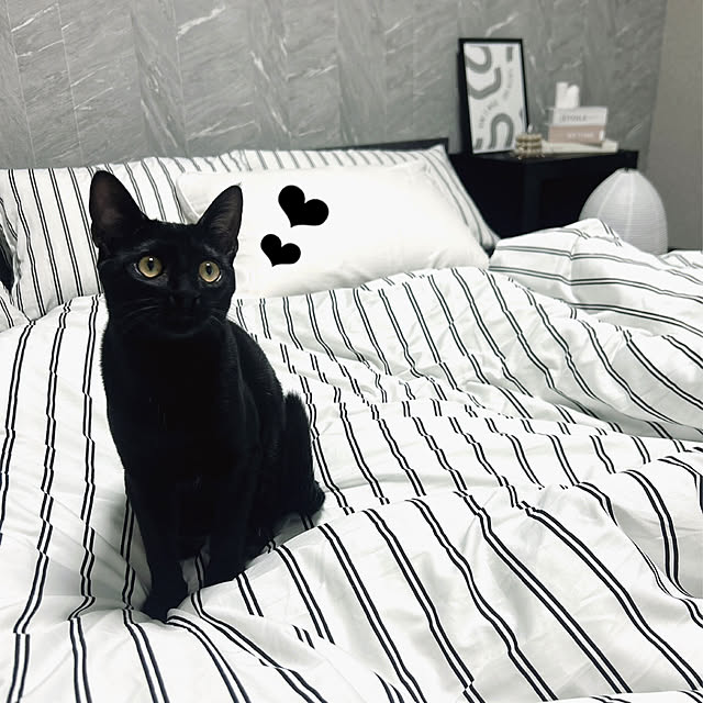 shiさんの実例写真