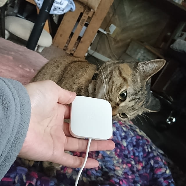 Kazukiさんの実例写真