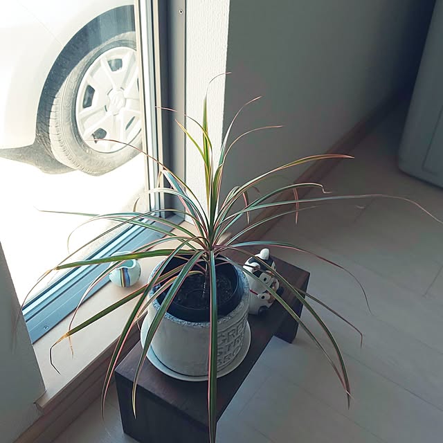 KOHAKUさんの実例写真