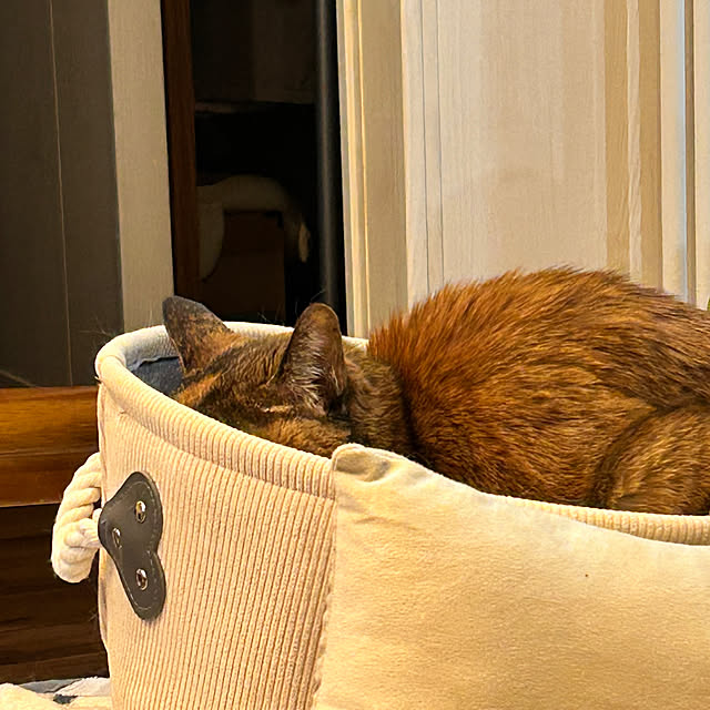 mikeume7さんの部屋