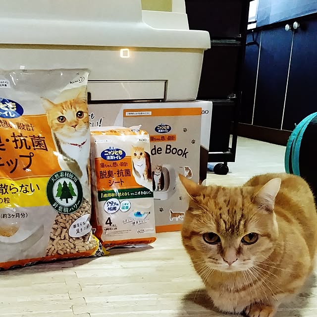 runaさんの実例写真