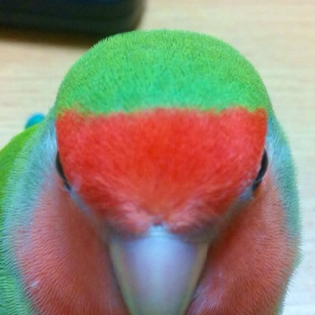 madokaさんの実例写真