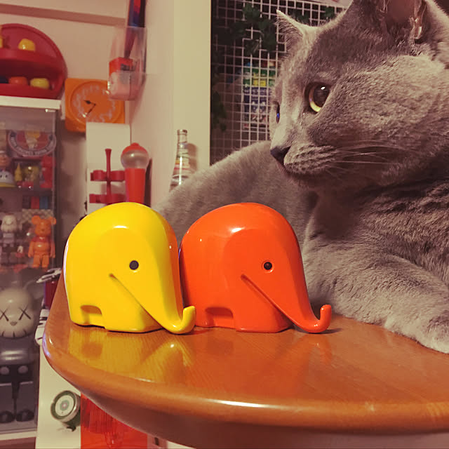 ikettenさんの実例写真