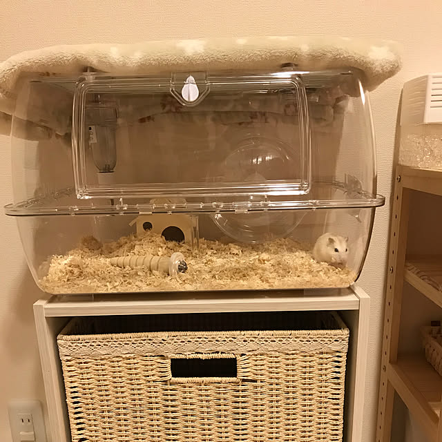 maimaiさんの実例写真