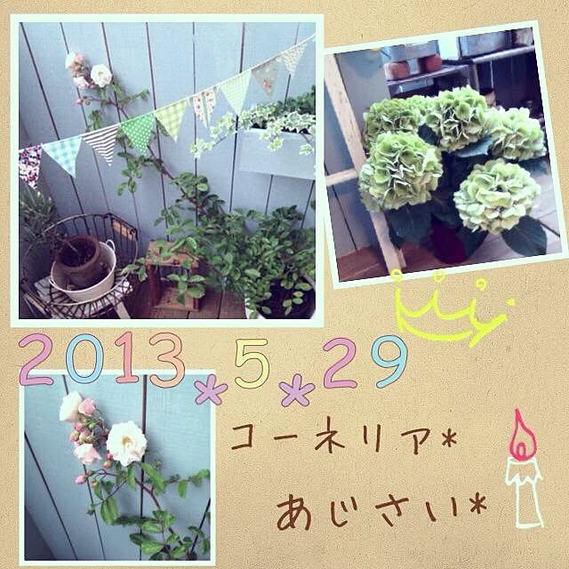 shihoさんの実例写真