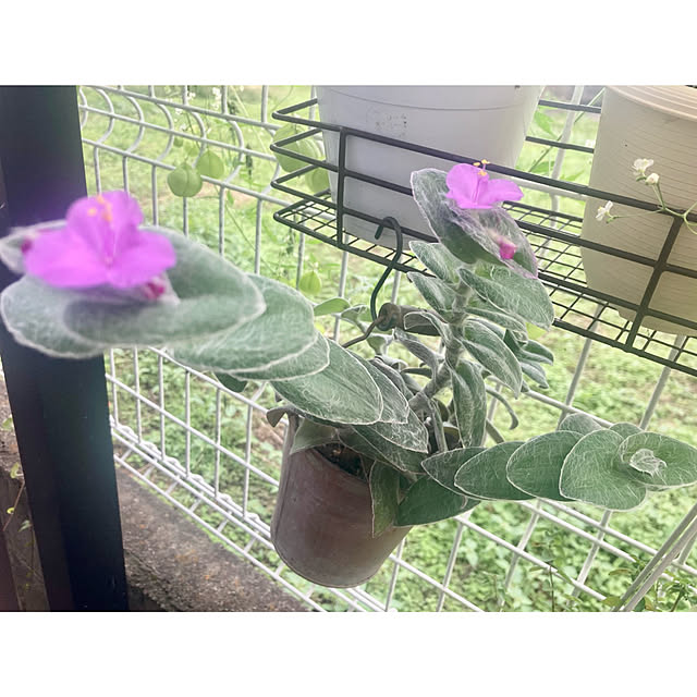 CoCo0617さんの部屋