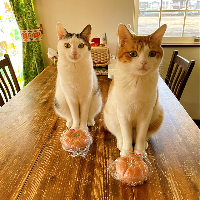meさんの実例写真