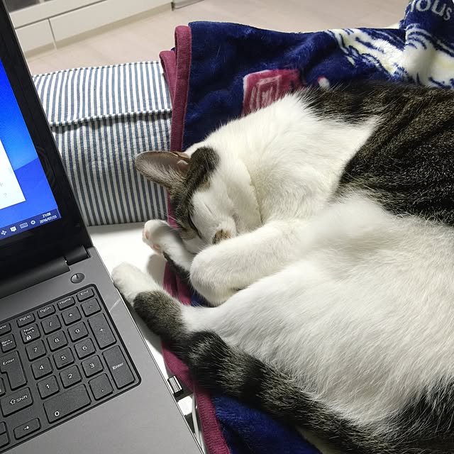 yuchiさんの実例写真