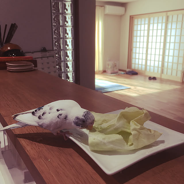 kayoさんの実例写真