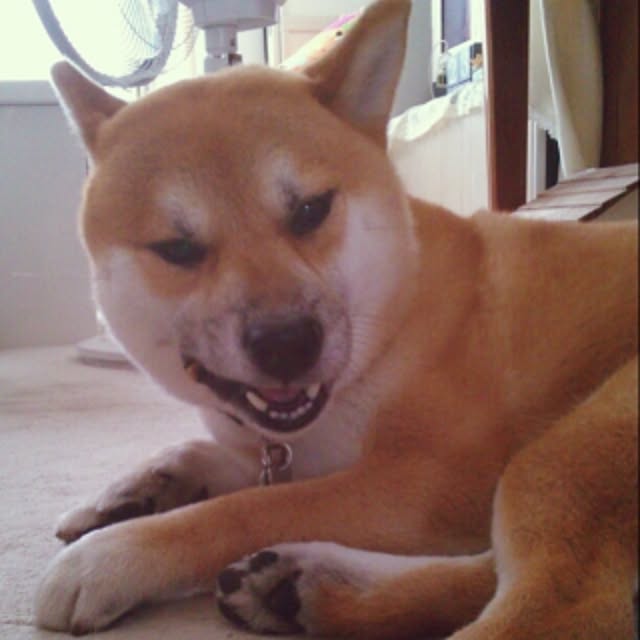 kotaさんの実例写真