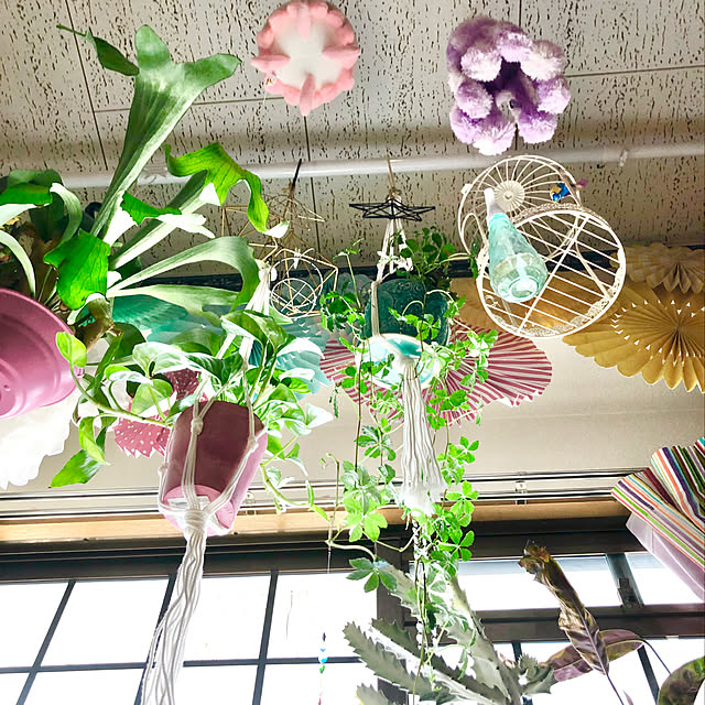 pochi3461さんの実例写真