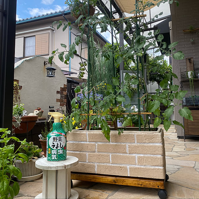 yumirilさんの実例写真