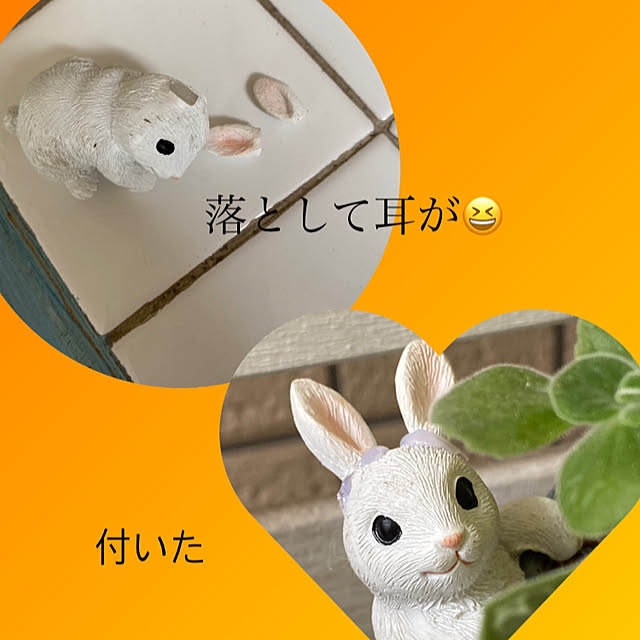 YuuKoさんの実例写真