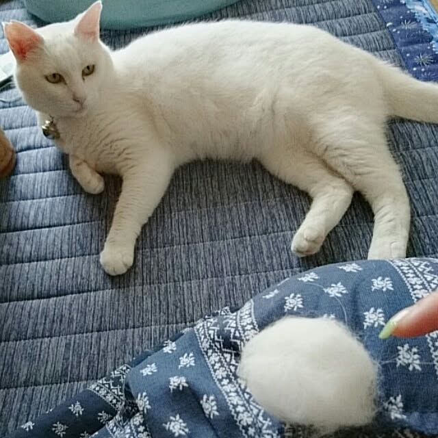 Sophie171922さんの実例写真