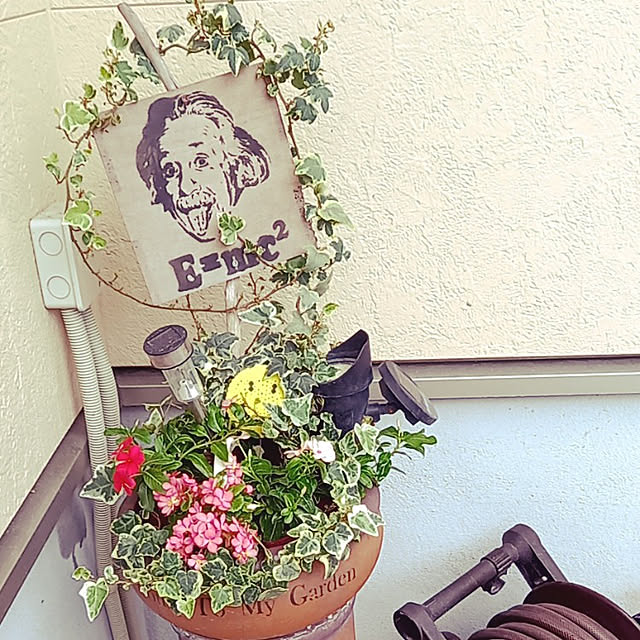 shiiitanさんの実例写真