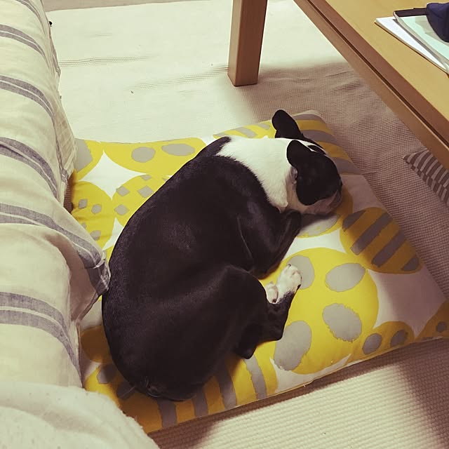 wakameさんの実例写真