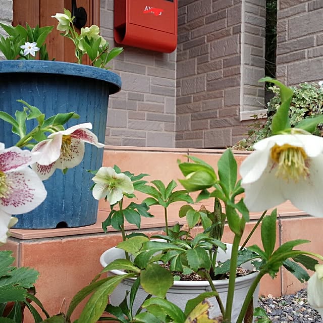 masa0414さんの実例写真