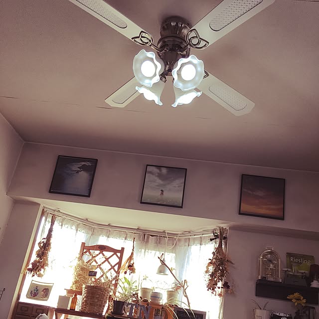 shardonnay_treeさんの実例写真