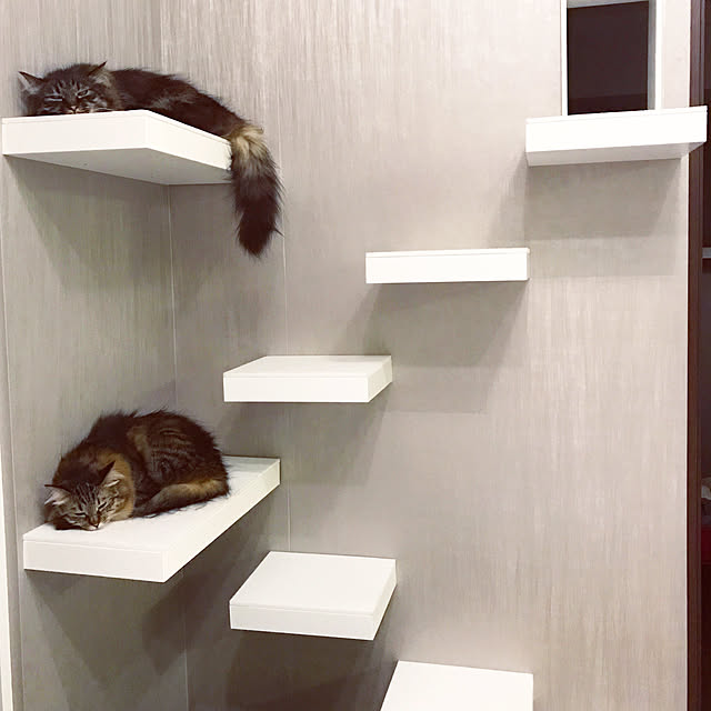 theo_nazcaさんの実例写真
