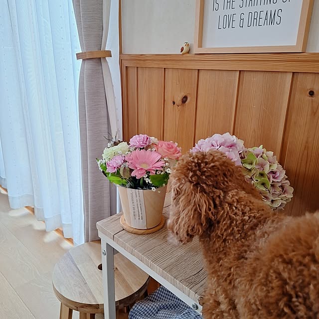 Blancheさんの部屋