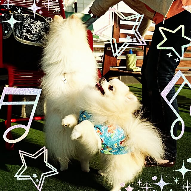 yukaさんの実例写真
