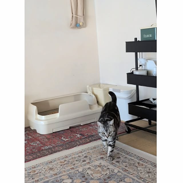 lovepeaceさんの部屋