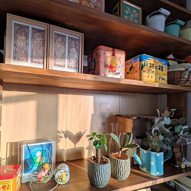 mi-saさんの実例写真