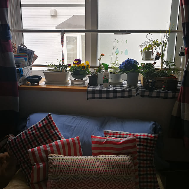 Helenaさんの実例写真