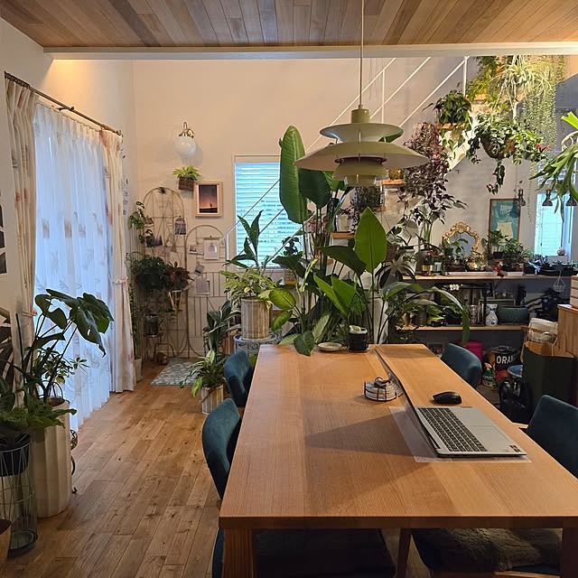 nonbiri_house_さんの部屋