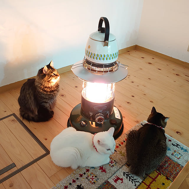 ayaさんの実例写真