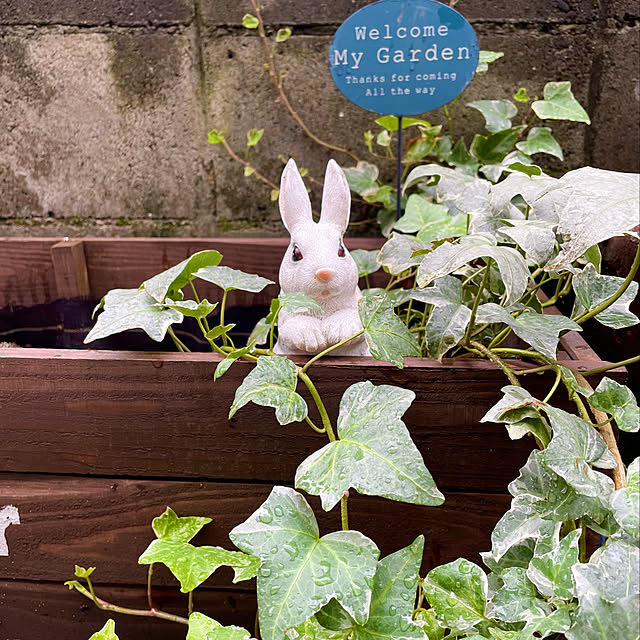 mamさんの実例写真